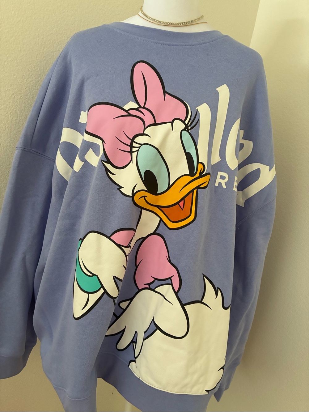 Lilac Daisy Disneyland pullover long sleeve 💘
2XL